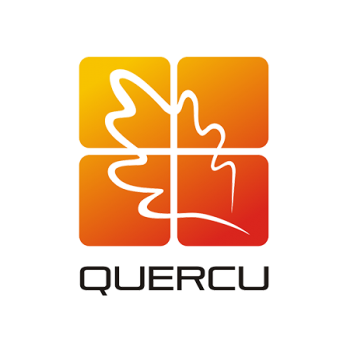 Projekt logotypu dla Quercu